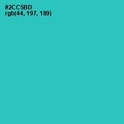 #2CC5BD - Puerto Rico Color Image