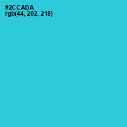 #2CCADA - Turquoise Color Image