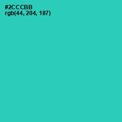 #2CCCBB - Puerto Rico Color Image