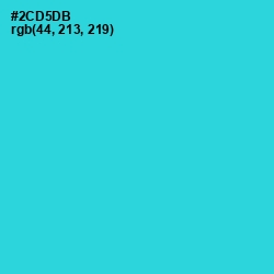 #2CD5DB - Turquoise Color Image