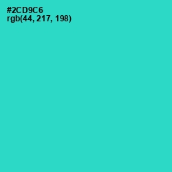 #2CD9C6 - Turquoise Color Image