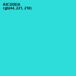 #2CDDDA - Turquoise Color Image
