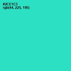 #2CE1C3 - Turquoise Color Image