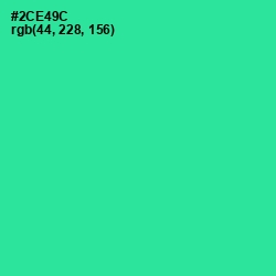 #2CE49C - Shamrock Color Image