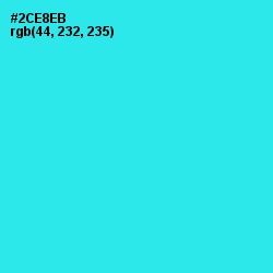 #2CE8EB - Bright Turquoise Color Image
