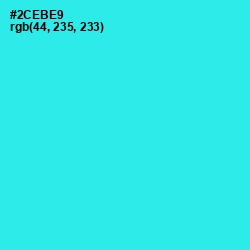 #2CEBE9 - Bright Turquoise Color Image