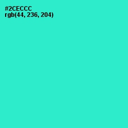 #2CECCC - Turquoise Color Image