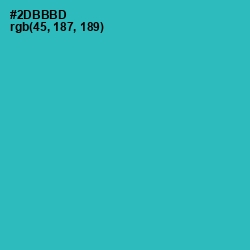 #2DBBBD - Pelorous Color Image