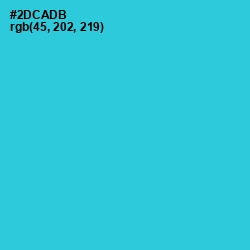 #2DCADB - Turquoise Color Image