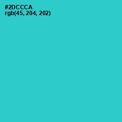 #2DCCCA - Turquoise Color Image