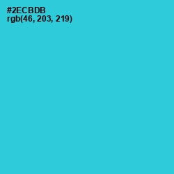 #2ECBDB - Turquoise Color Image
