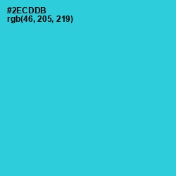 #2ECDDB - Turquoise Color Image