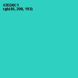 #2ED0C1 - Turquoise Color Image