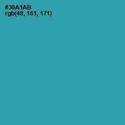 #30A1AB - Pelorous Color Image