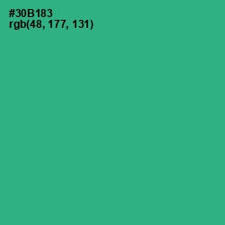 #30B183 - Jungle Green Color Image