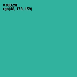 #30B29F - Keppel Color Image