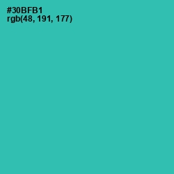 #30BFB1 - Pelorous Color Image