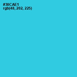 #30CAE1 - Turquoise Color Image