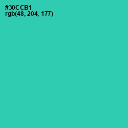 #30CCB1 - Puerto Rico Color Image