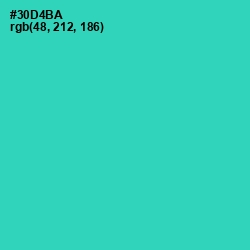 #30D4BA - Puerto Rico Color Image