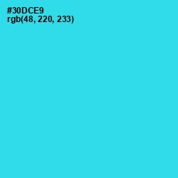 #30DCE9 - Turquoise Color Image