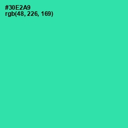 #30E2A9 - Shamrock Color Image