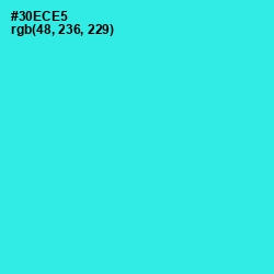 #30ECE5 - Turquoise Color Image