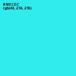 #30ECEC - Bright Turquoise Color Image