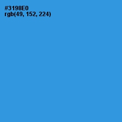 #3198E0 - Curious Blue Color Image