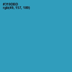 #319DBD - Boston Blue Color Image