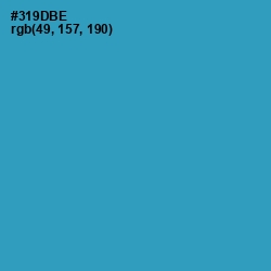 #319DBE - Boston Blue Color Image