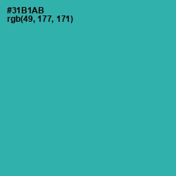 #31B1AB - Pelorous Color Image