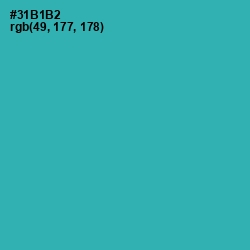 #31B1B2 - Pelorous Color Image