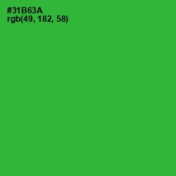 #31B63A - Forest Green Color Image