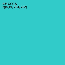 #31CCCA - Turquoise Color Image