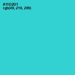 #31D2D1 - Turquoise Color Image