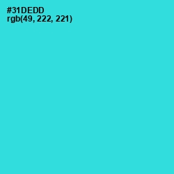 #31DEDD - Turquoise Color Image