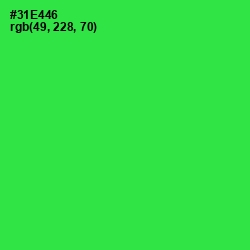 #31E446 - Malachite Color Image