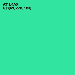 #31E4A0 - Shamrock Color Image