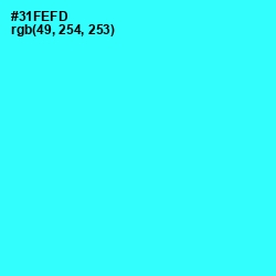 #31FEFD - Cyan / Aqua Color Image