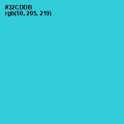 #32CDDB - Turquoise Color Image