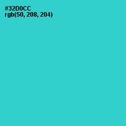 #32D0CC - Turquoise Color Image