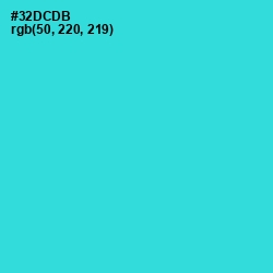 #32DCDB - Turquoise Color Image
