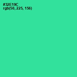 #32E19C - Shamrock Color Image