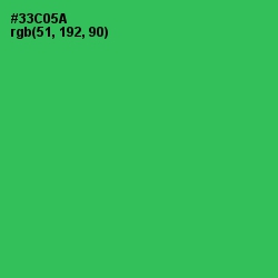 #33C05A - Malachite Color Image