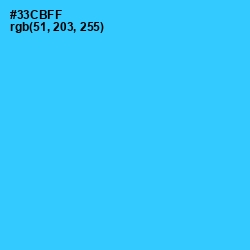 #33CBFF - Turquoise Color Image