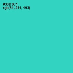 #33D3C1 - Turquoise Color Image