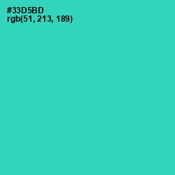 #33D5BD - Puerto Rico Color Image