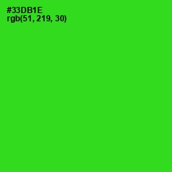 #33DB1E - Harlequin Color Image