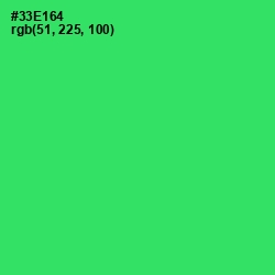 #33E164 - Malachite Color Image